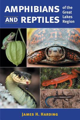 Amphibians and reptiles of the Great Lakes Region