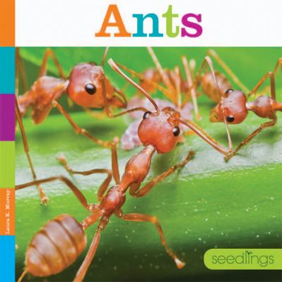 Ants