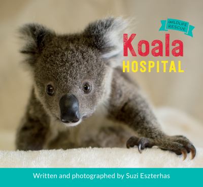 Koala hospital