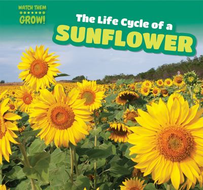 The life cycle of a sunflower