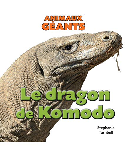 Le dragon de Komodo