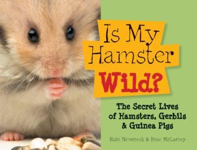 Is my hamster wild? : the secret lives of hamsters, gerbils & guinea pigs