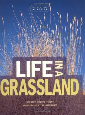 Life in a grassland