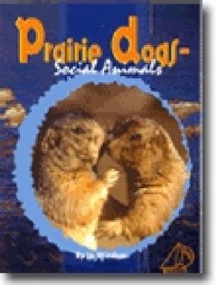 Prairie dogs : social animals