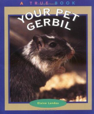 Your pet gerbil