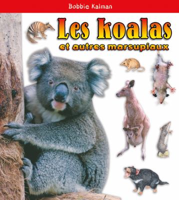 Les koalas et autres marsupiaux