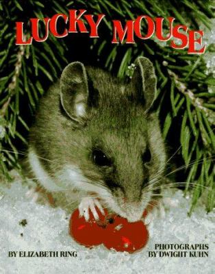 Lucky mouse