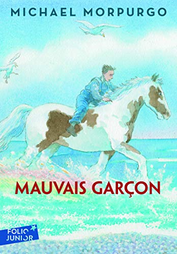 Mauvais garçon