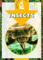 Insects