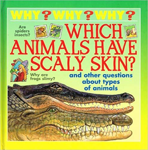 Which animals have scaly skin?