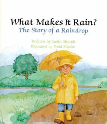 What makes it rain? : the story of a raindrop