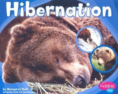 Hibernation