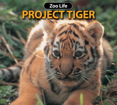 Project tiger