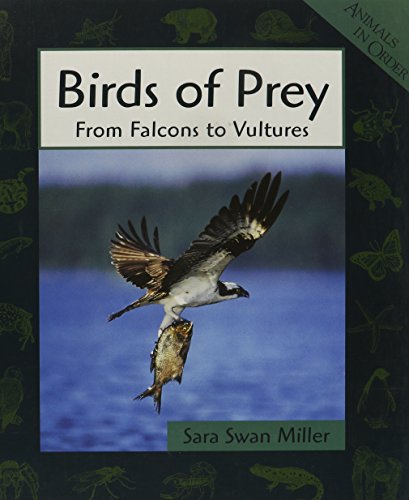 Birds of prey : from falcons to vultures