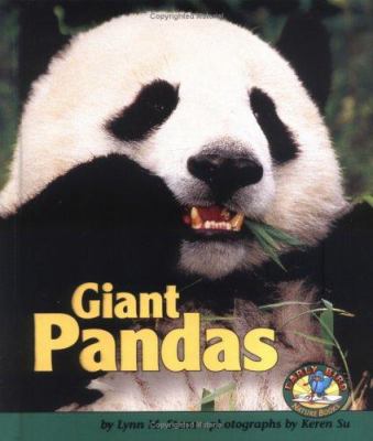 Giant pandas