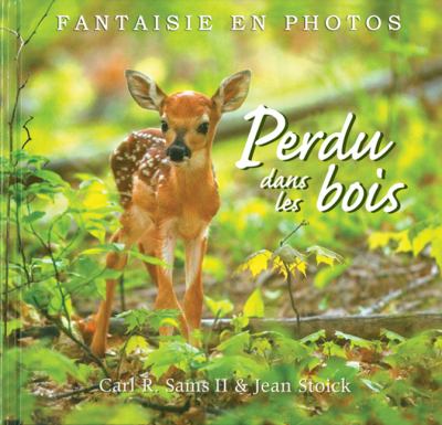 Perdu dans les bois : fantaisie en photos