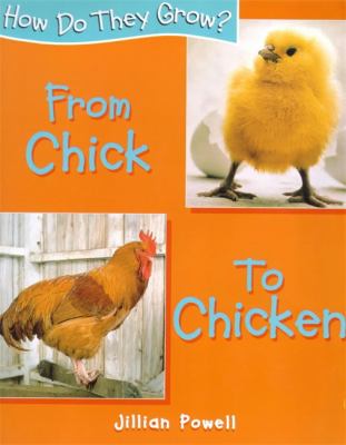 From chick to chicken