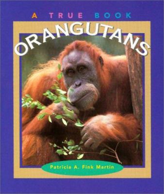 Orangutans