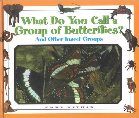 What do you call a group of butterflies? : and other insects