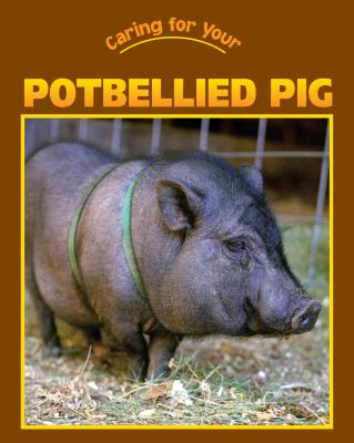 Caring for your potbellied pig