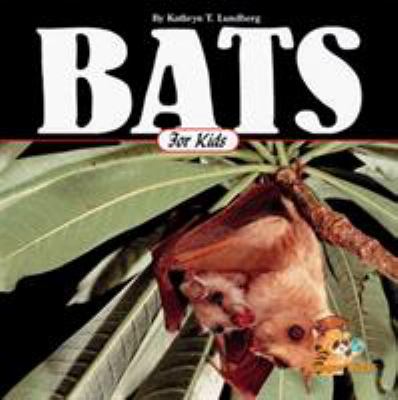 Bats for kids
