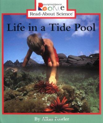 Life in a tide pool