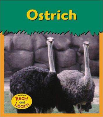 Ostrich