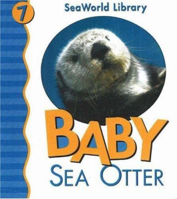 Baby sea otter