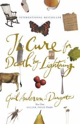 The cure for death by lightning : a novel