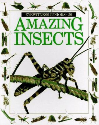 Amazing insects