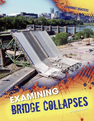 Examining bridge collapses