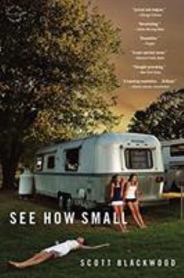 See how small : a novel