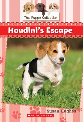 Houdini's escape