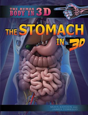 The stomach in 3D