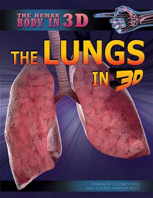 The lungs in 3D