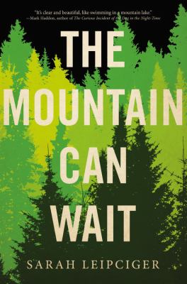 The mountain can wait : a novel