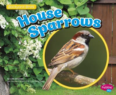 House sparrows