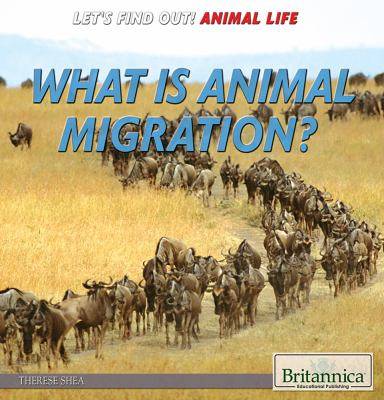 What is animal migration?