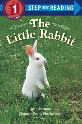 The little rabbit