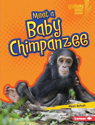 Meet a baby chimpanzee