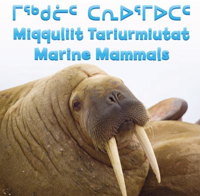 Miqquliit tariurmiutat : Marine mammals.