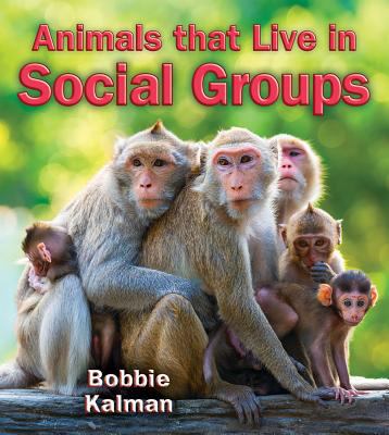 Animals that live in social groups