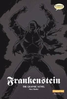 Frankenstein : the graphic novel : original text