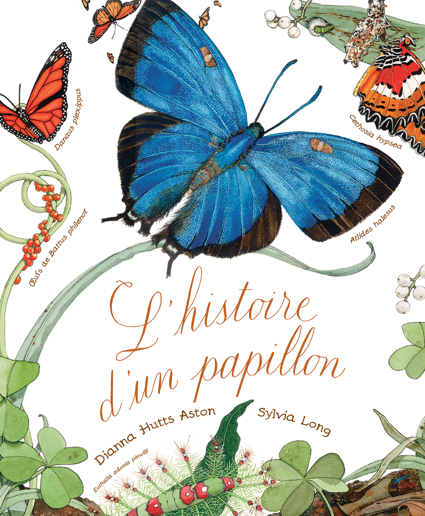 L'histoire d'un papillon