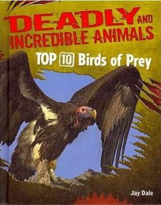 Top ten birds of prey