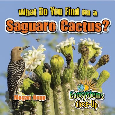 What do you find on a saguaro cactus?