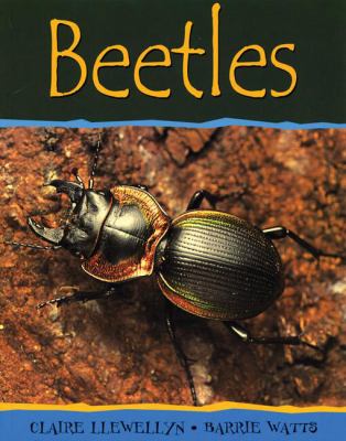 Beetles