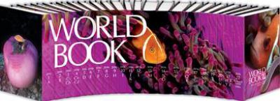 The World Book encyclopedia