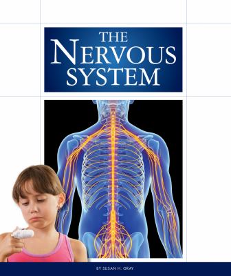 The nervous system