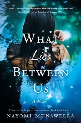 What lies between us : a novel